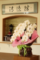 y@lz ݊ЗlӒ̊1