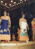 y@lz {{݂̑葽z̊t2